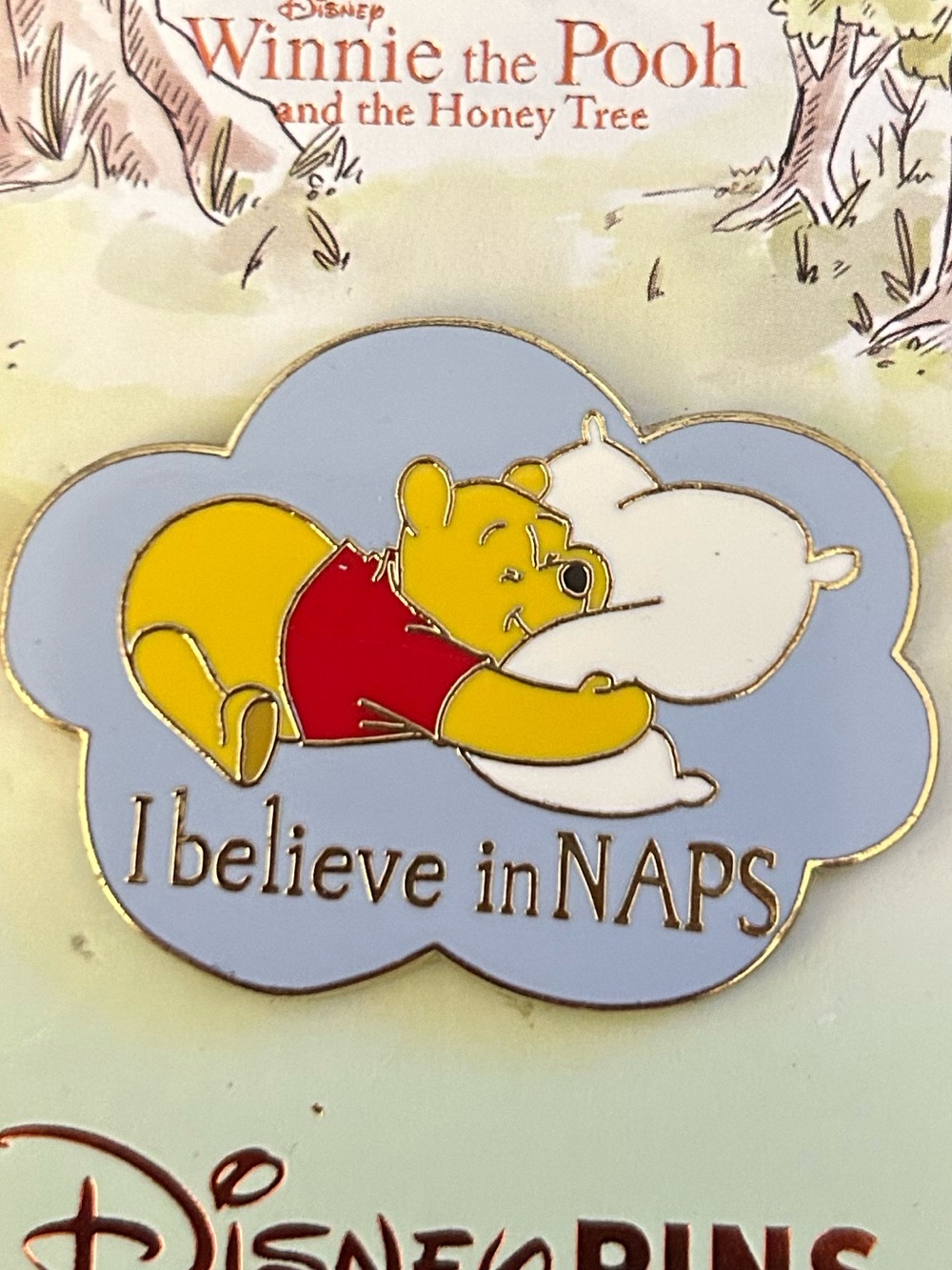Disney Winnie the Pooh I believe in naps pin